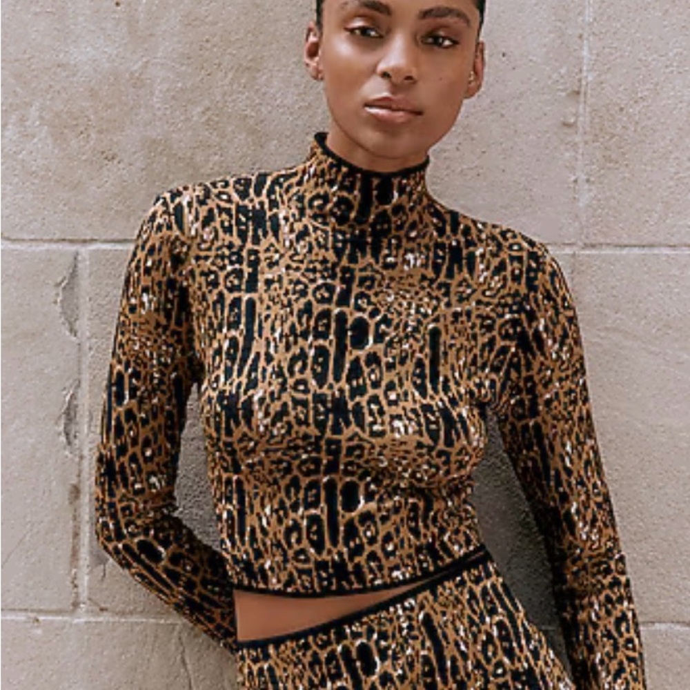Express Animal Print Long Sleeve Crop Top